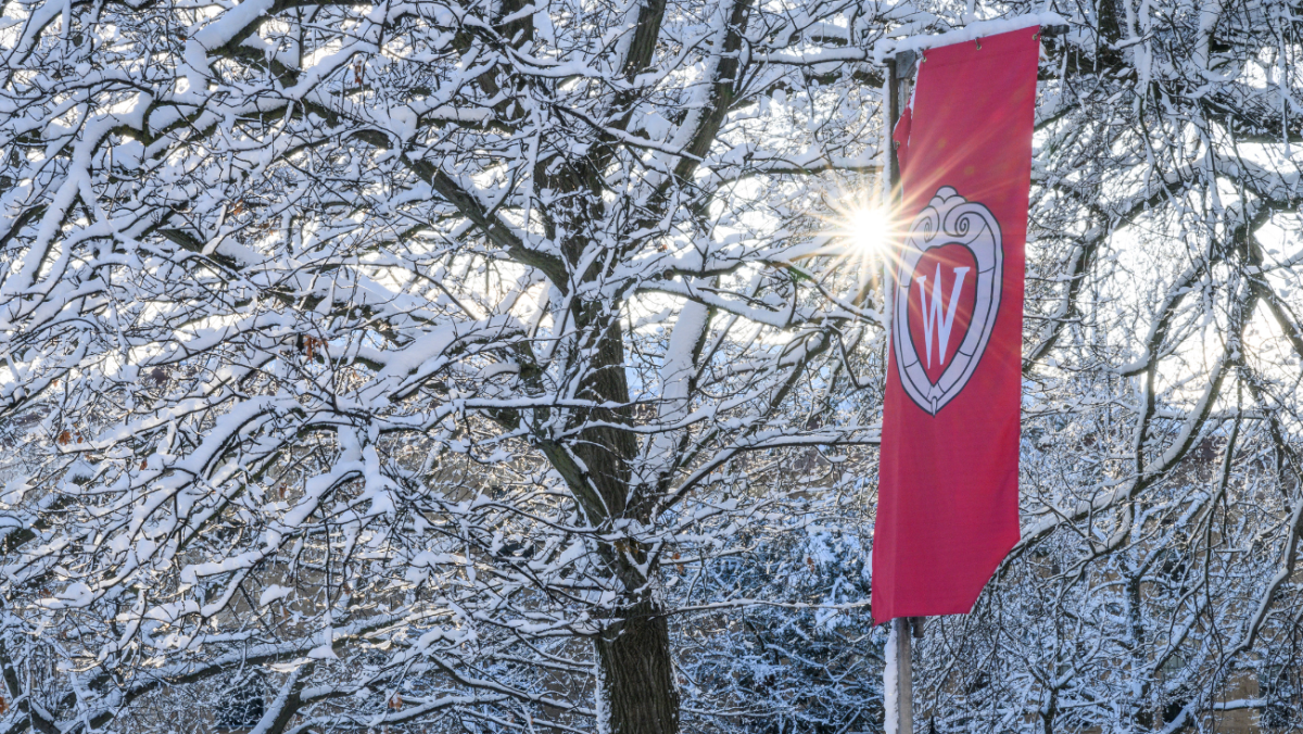 Snowy scene with sun peeking through the trees and a red flag with the UW crest