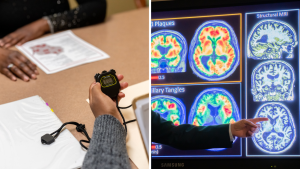 On the left is a person undergoing cognitive testing, on the right is a person reading brain scans